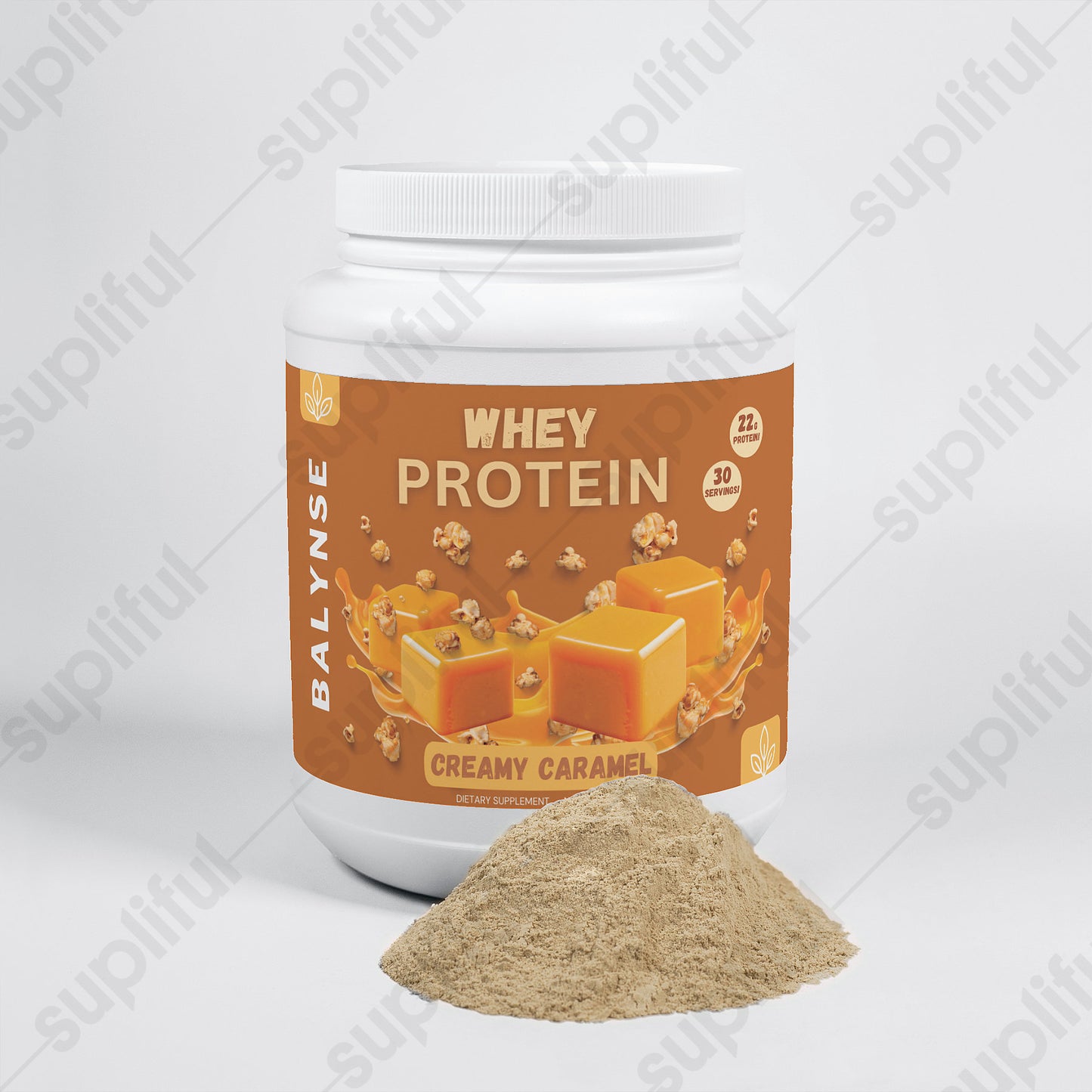 Whey Protein (Creamy Caramel)